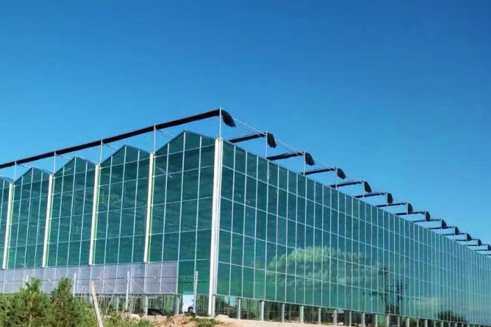 Glass Intelligent greenhouse