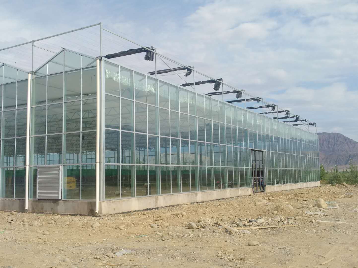 Smart Glass Greenhouses