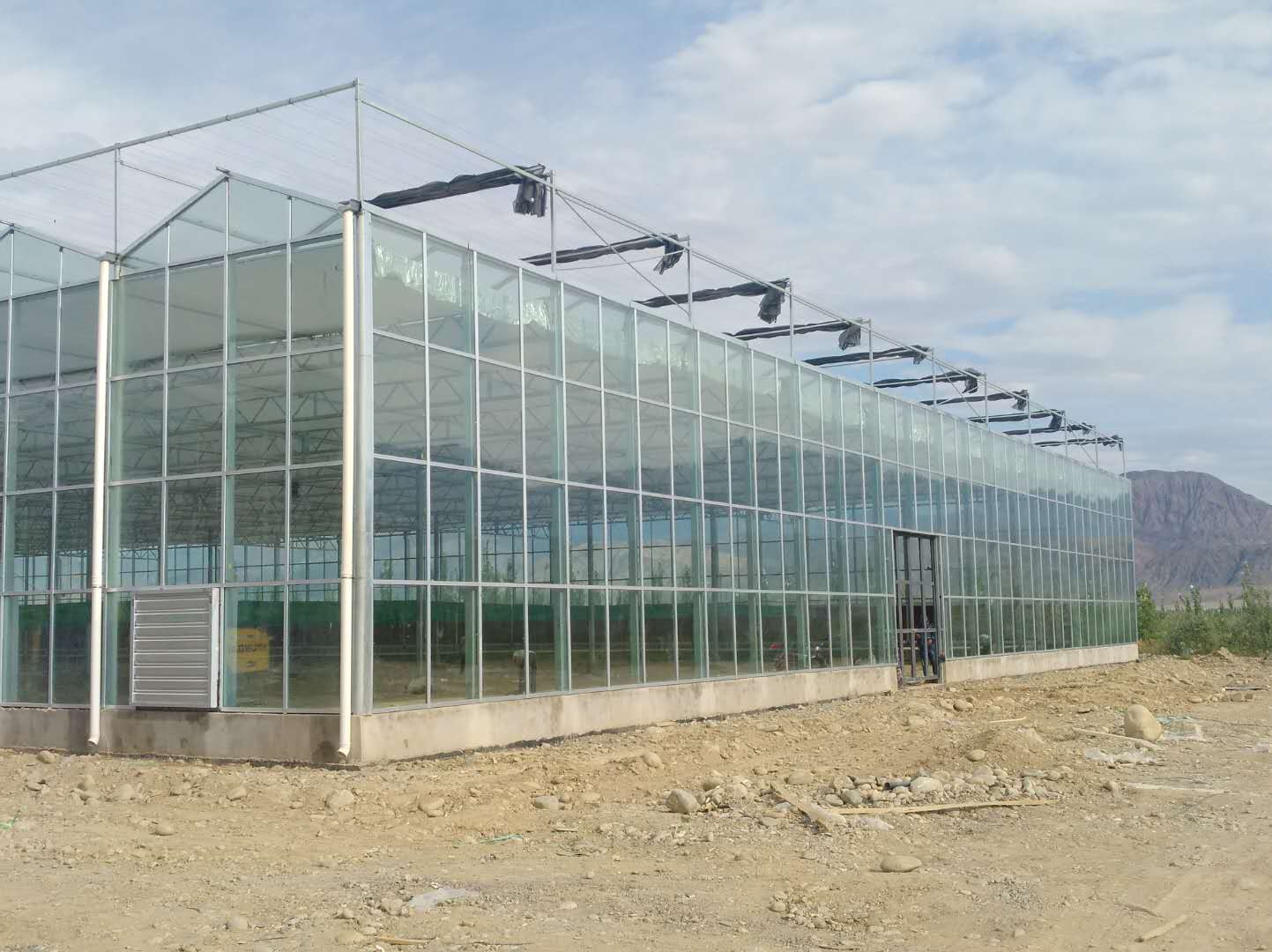 Commercial Intelligent Glass Greenhouses