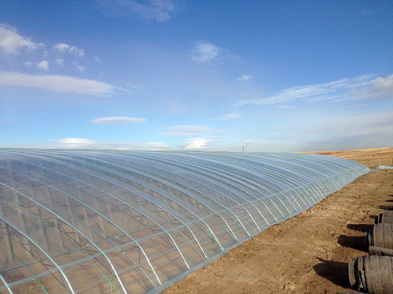 solar greenhouse